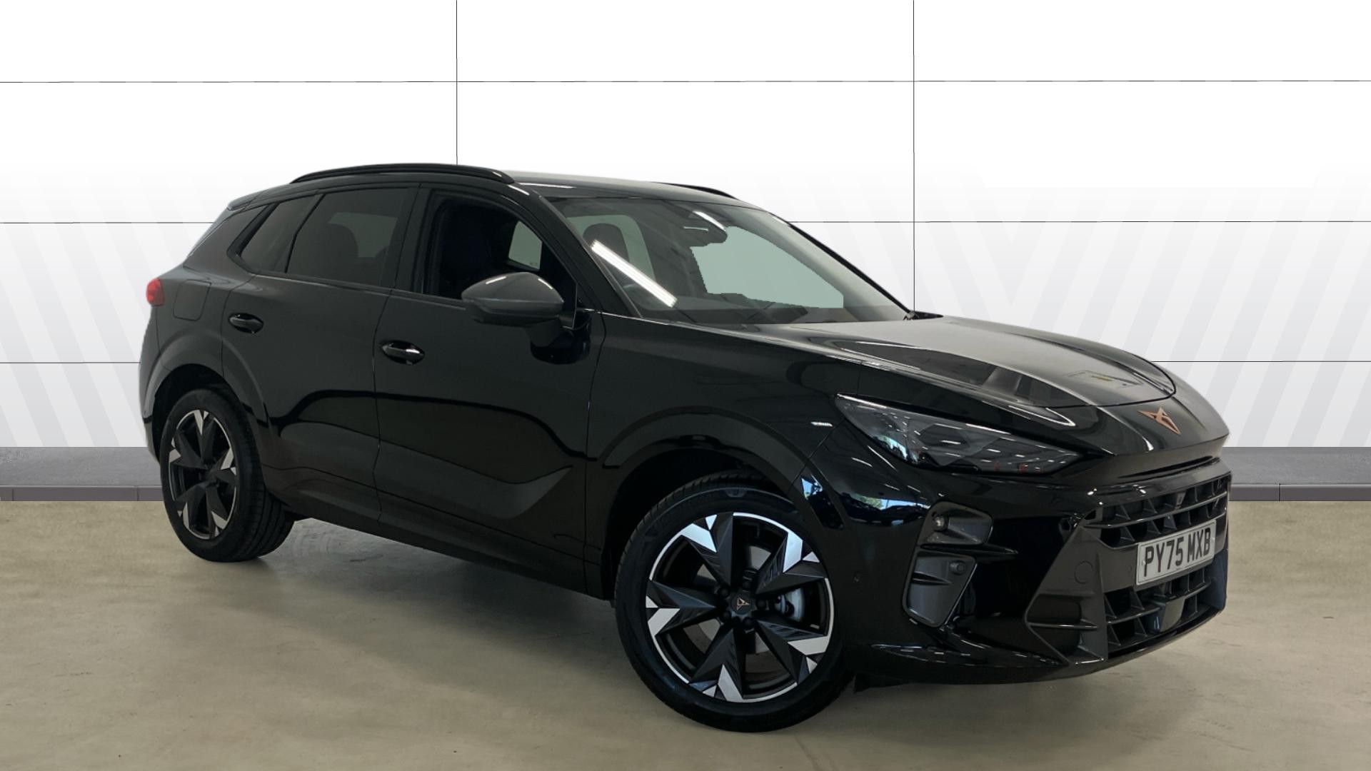 Cupra Terramar listing photo