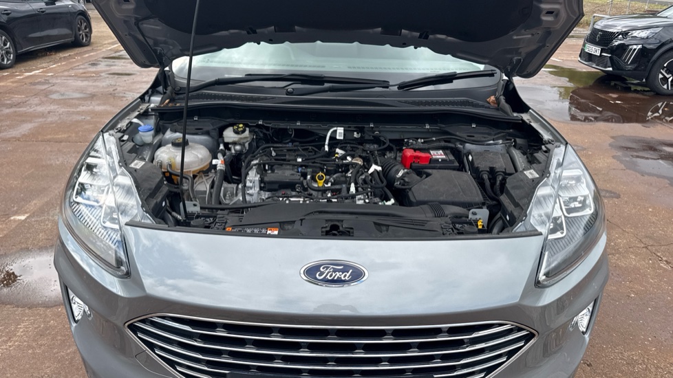 Ford Kuga 1.5 EcoBoost 150 Titanium Edition 5dr Petrol Estate - Image 8