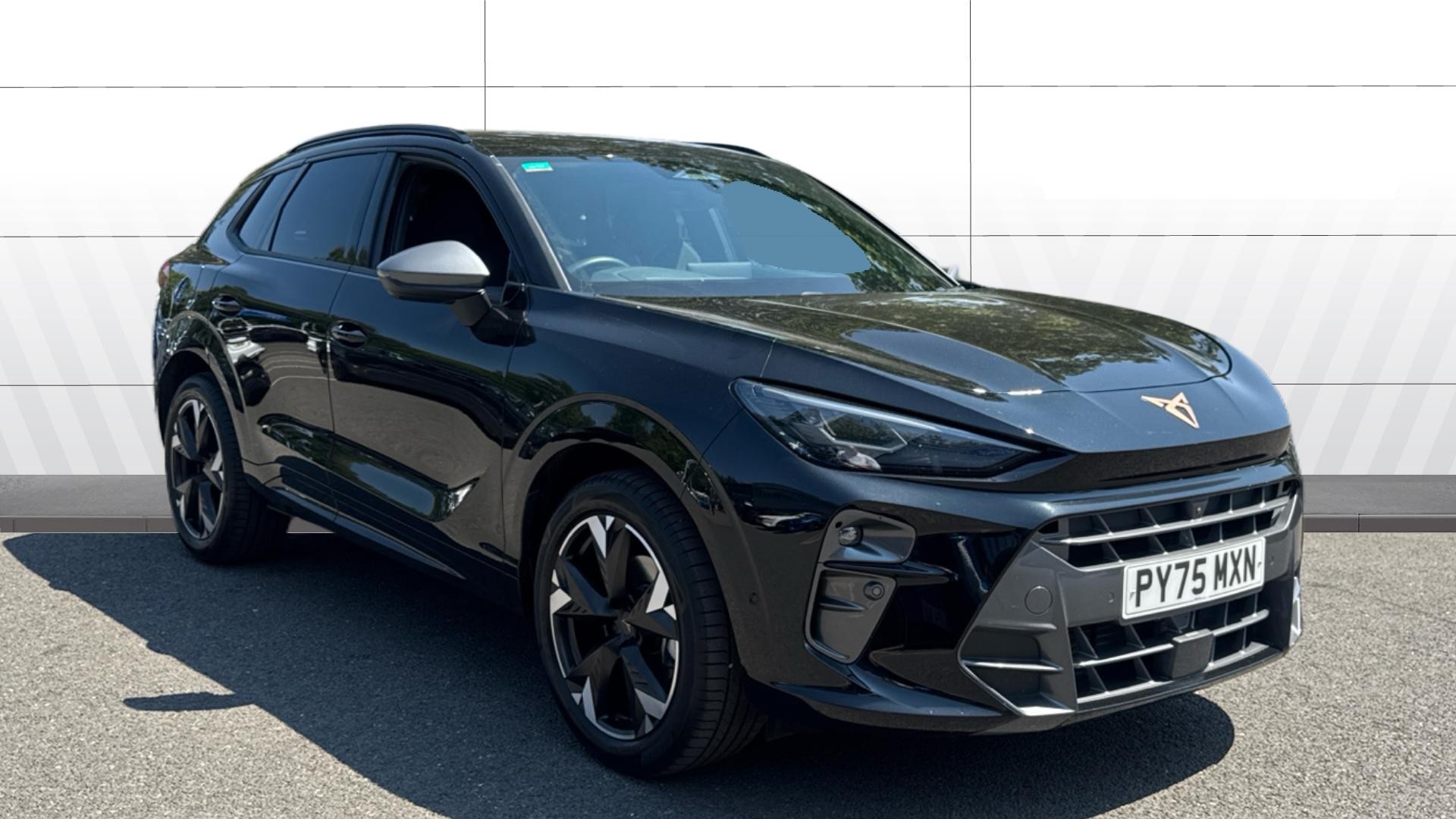 Cupra Terramar listing photo