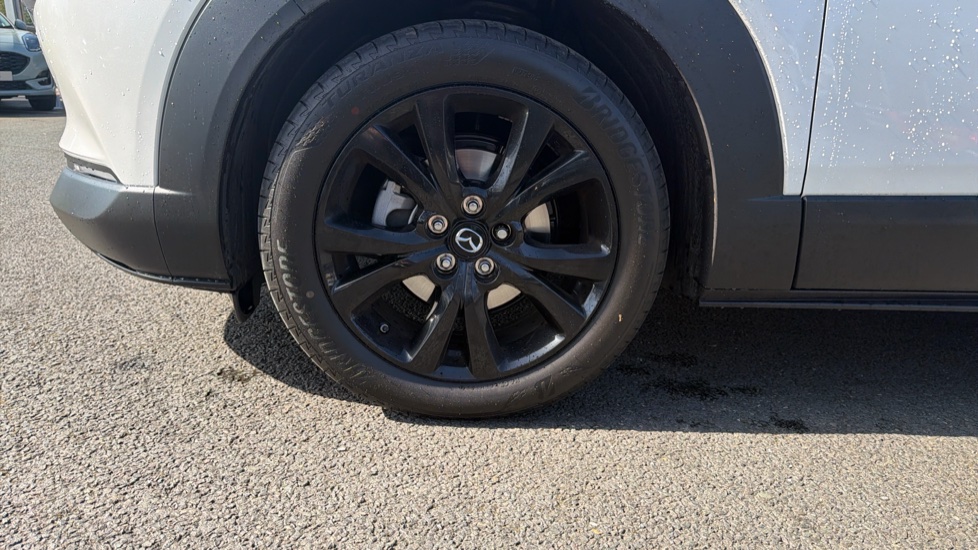 Mazda CX-30 2.0 e-Skyactiv X MHEV Homura 5dr Auto [Sunroof] Petrol Hatchback - Image 38