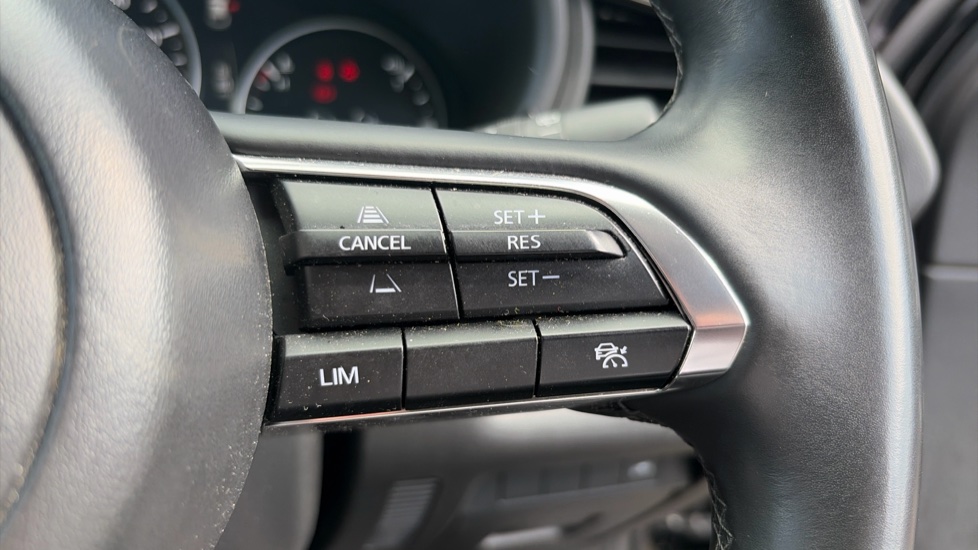 Mazda CX-30 2.5 e-Skyactiv G MHEV [140] Homura 5dr Petrol Hatchback - Image 26