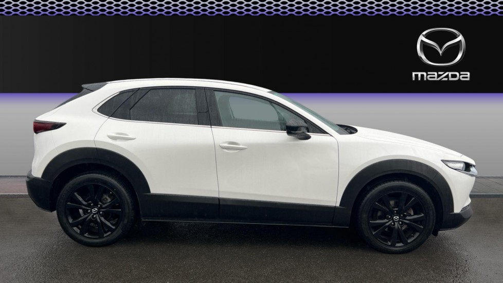 Mazda CX-30 2.5 e-Skyactiv G MHEV [140] Homura 5dr Petrol Hatchback - Image 5