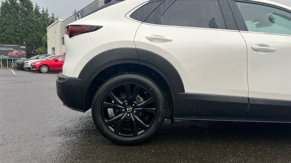Mazda CX-30 2.5 e-Skyactiv G MHEV [140] Homura 5dr Petrol Hatchback - Image 7