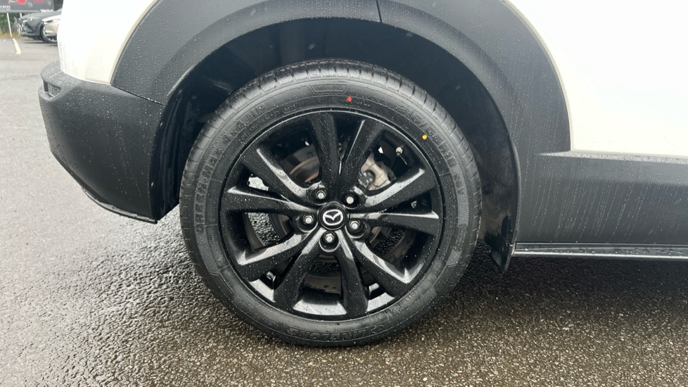 Mazda CX-30 2.5 e-Skyactiv G MHEV [140] Homura 5dr Petrol Hatchback - Image 21