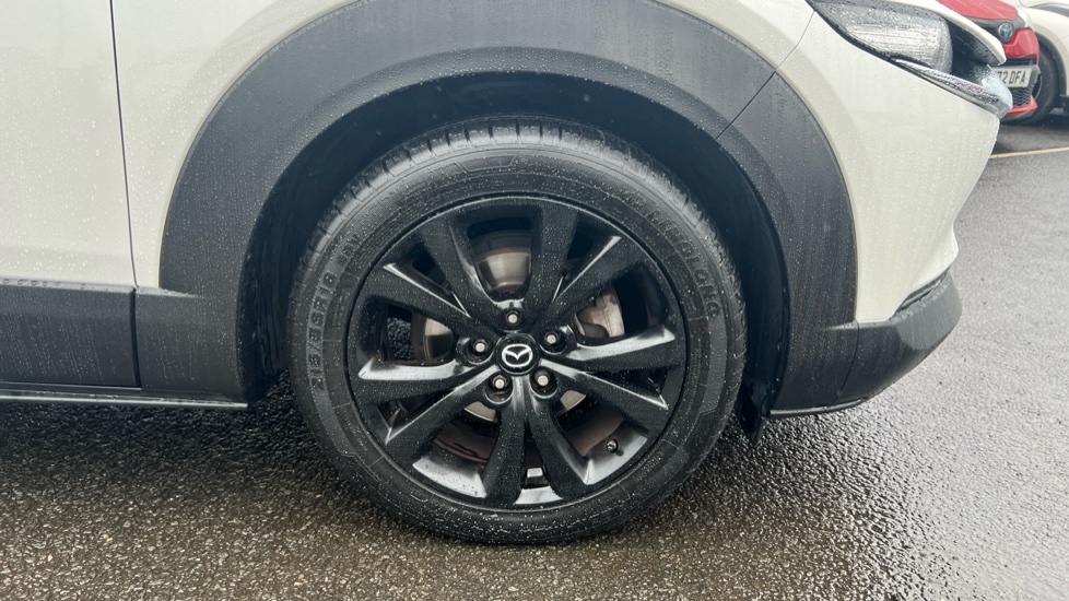 Mazda CX-30 2.5 e-Skyactiv G MHEV [140] Homura 5dr Petrol Hatchback - Image 22