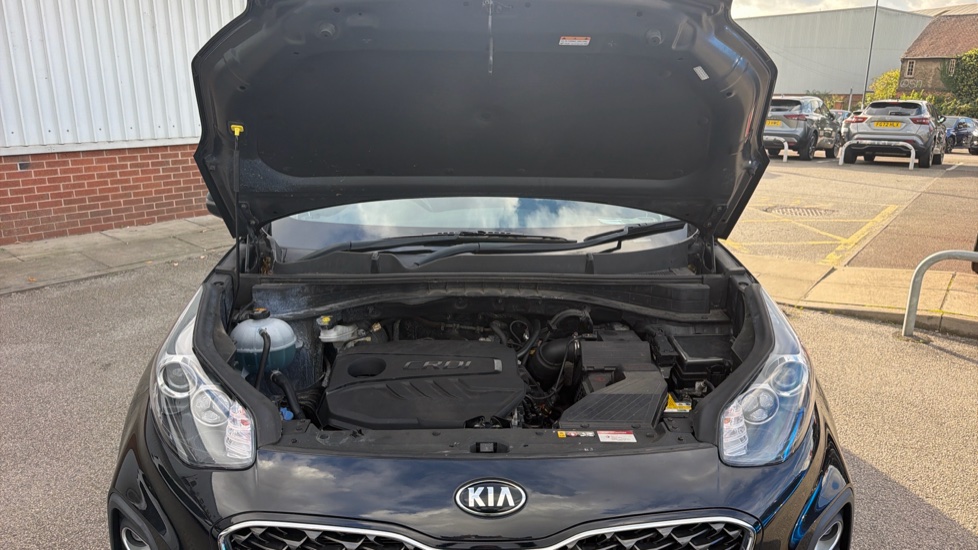 Kia Sportage 1.6 CRDi 48V ISG 2 5dr DCT Auto Diesel Estate - Image 8