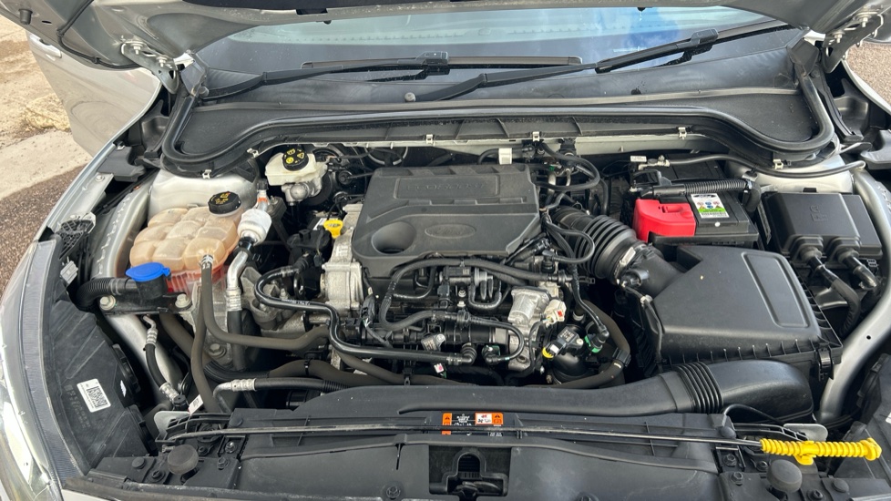 Ford Focus 1.0 EcoBoost 125 ST-Line X 5dr Petrol Hatchback - Image 8