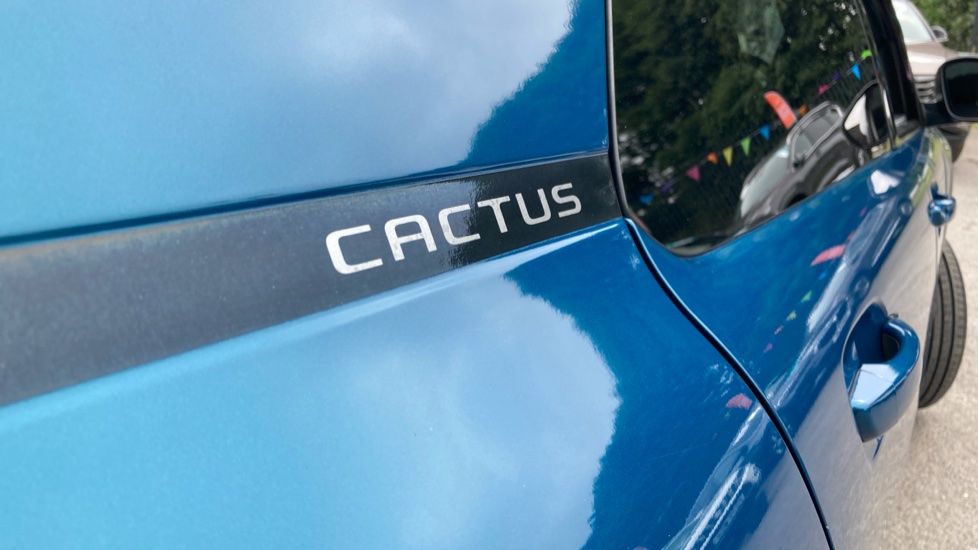 Citroen C4 Cactus 1.5 BlueHDi Flair 5dr Diesel Hatchback - Image 23
