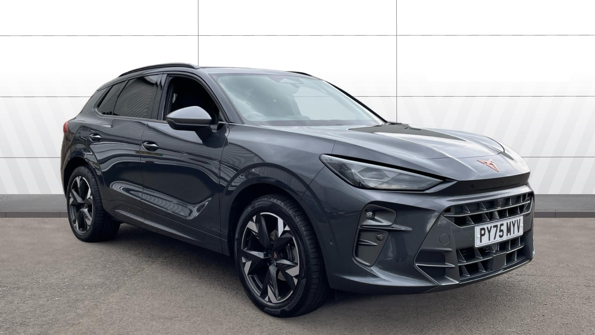 Cupra Terramar listing photo
