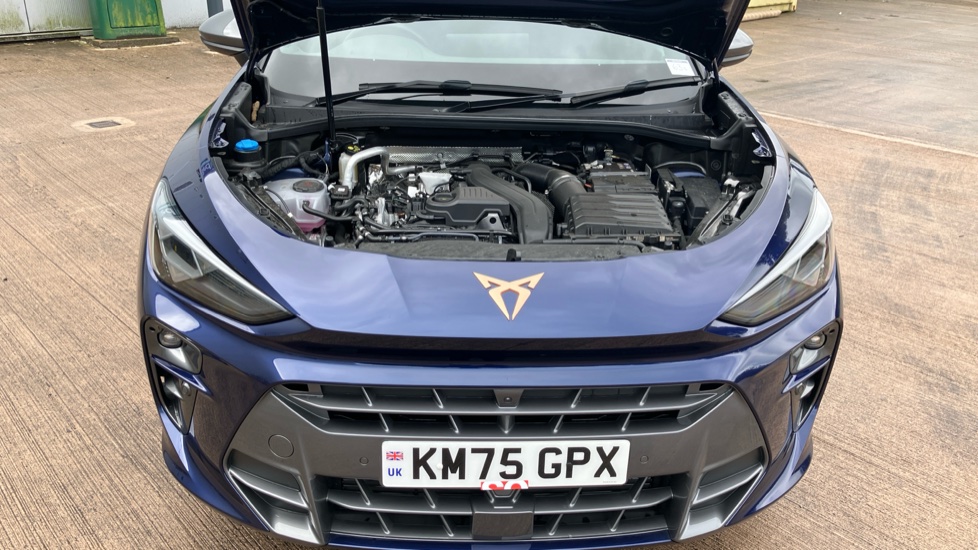 CUPRA Terramar 1.5 eTSI 150 V2 5dr DSG Petrol Hatchback - Image 8