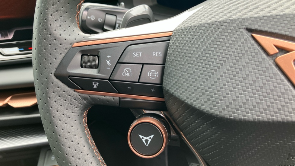 CUPRA Terramar 1.5 eTSI 150 V2 5dr DSG Petrol Hatchback - Image 30