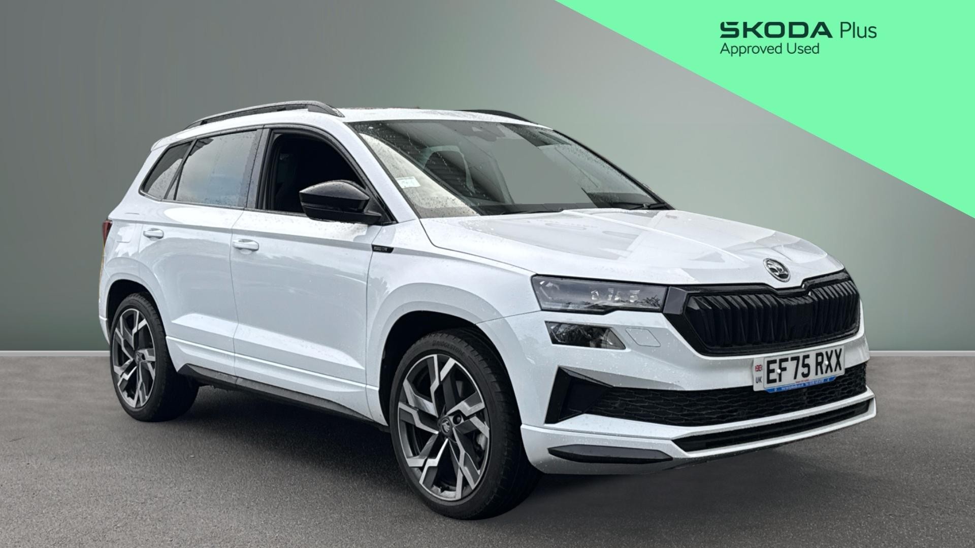 Skoda Karoq listing photo