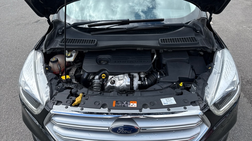 Ford Kuga 1.5 TDCi Titanium Edition 5dr 2WD Diesel Estate - Image 8