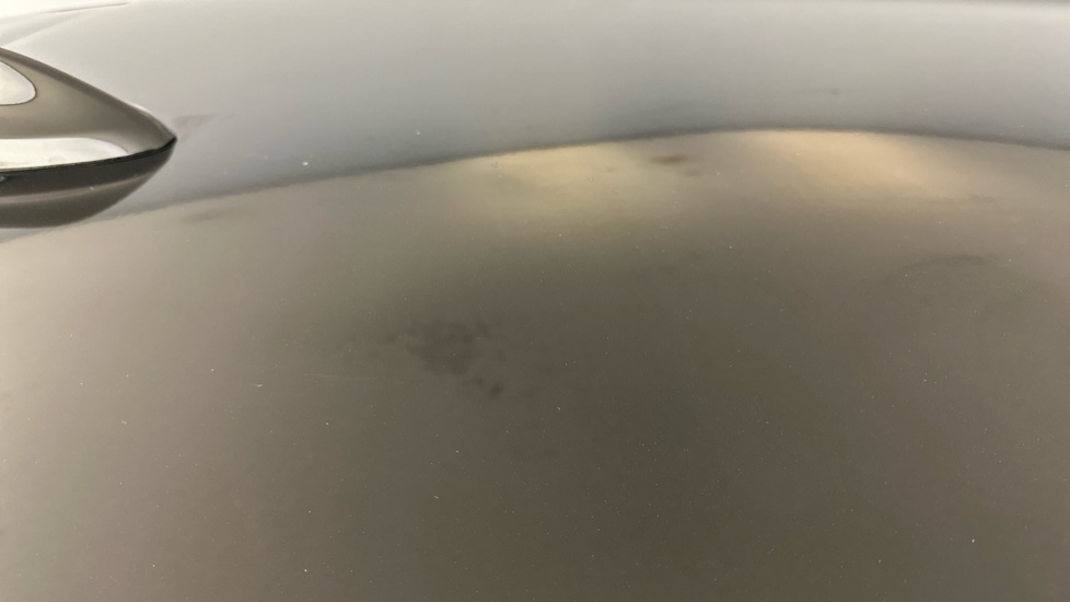 FORD MUSTANG MACH-E bird lime