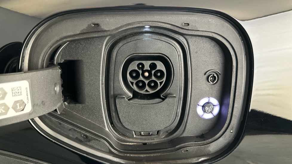 FORD MUSTANG MACH-E Image 21