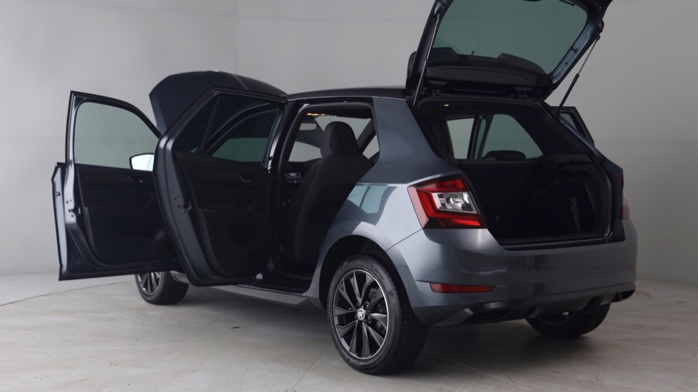 Skoda FABIA HATCHBACK 1.0 TSI MONTE CARLO £11,995