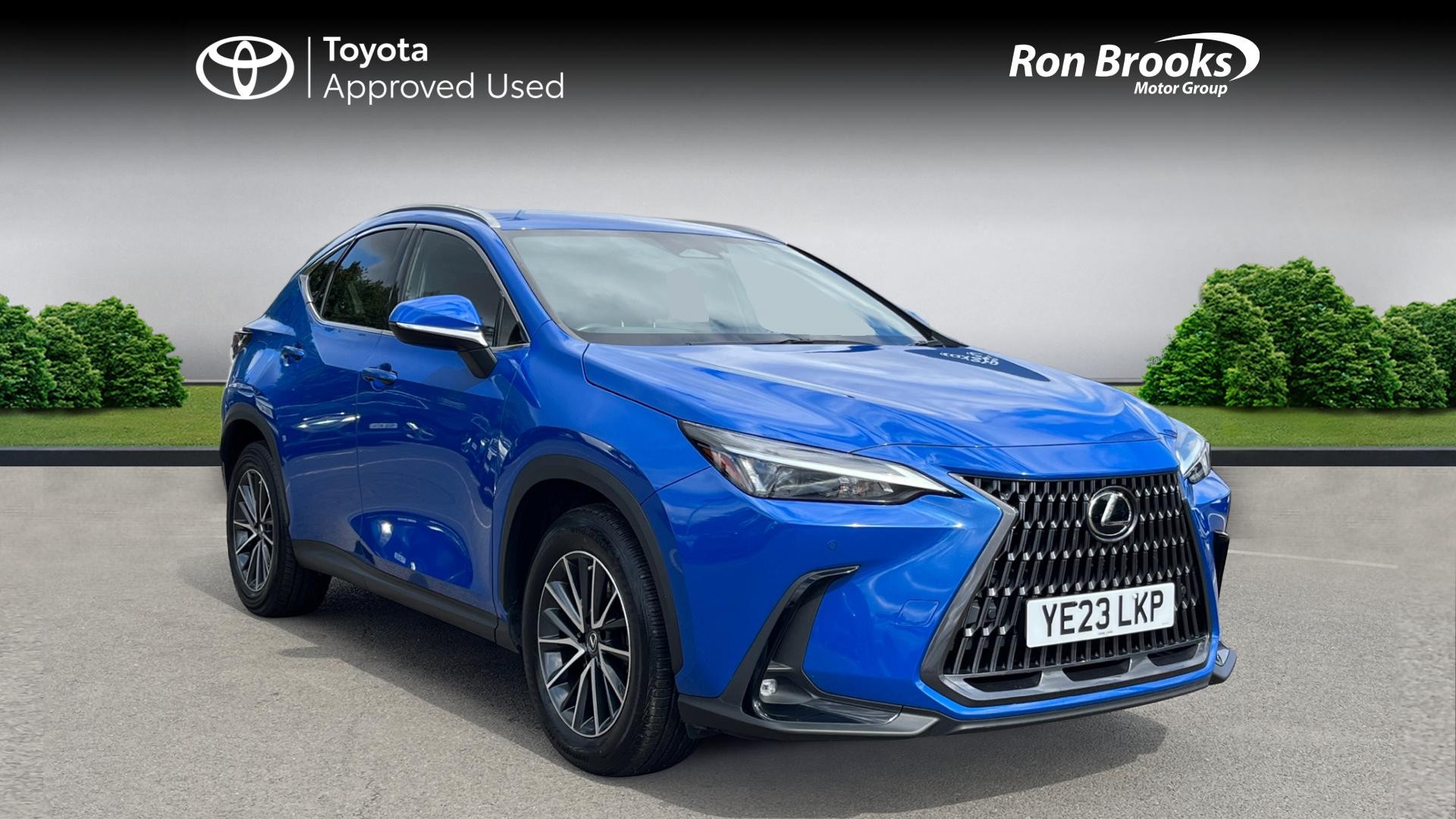 2023 Lexus NX