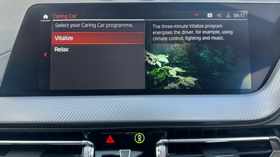 BMW 1 Series M135i xDrive 5dr Step Auto Petrol Hatchback - Image 43