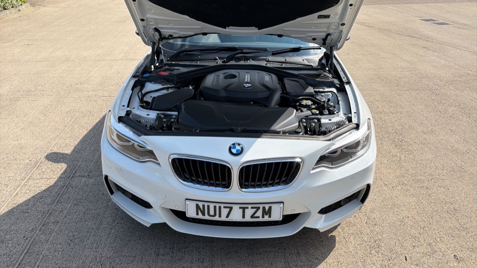 BMW 2 Series 220i M Sport 2dr [Nav] Petrol Coupe - Image 8
