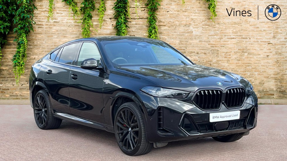 2025 BMW X6