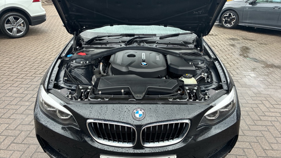 BMW 2 Series 218i M Sport 2dr [Nav] Step Auto Petrol Coupe - Image 8