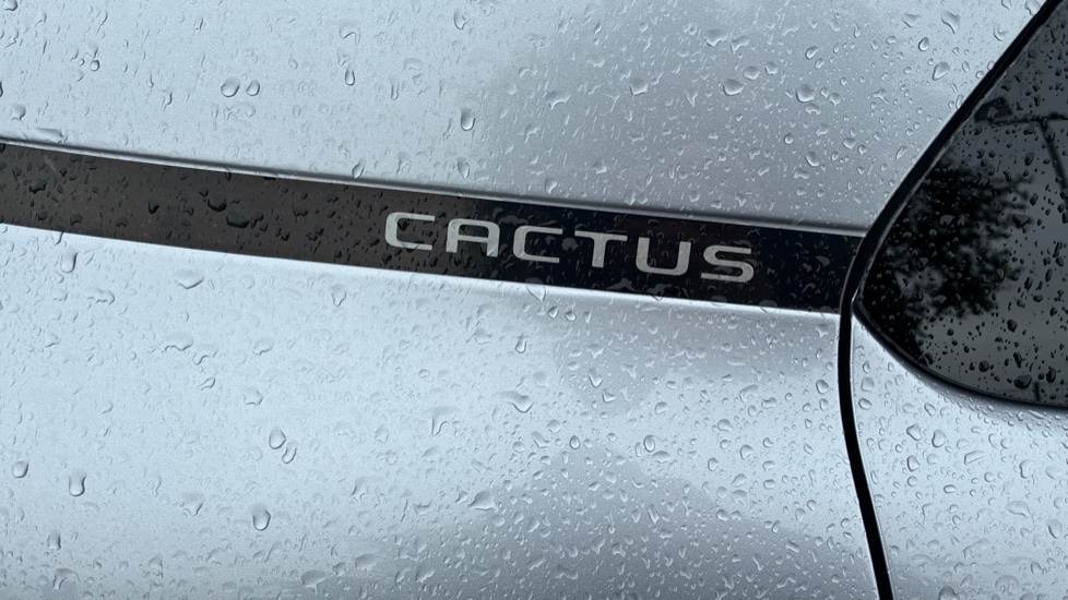 Citroen C4 Cactus 1.5 BlueHDi Flair 5dr Diesel Hatchback - Image 33