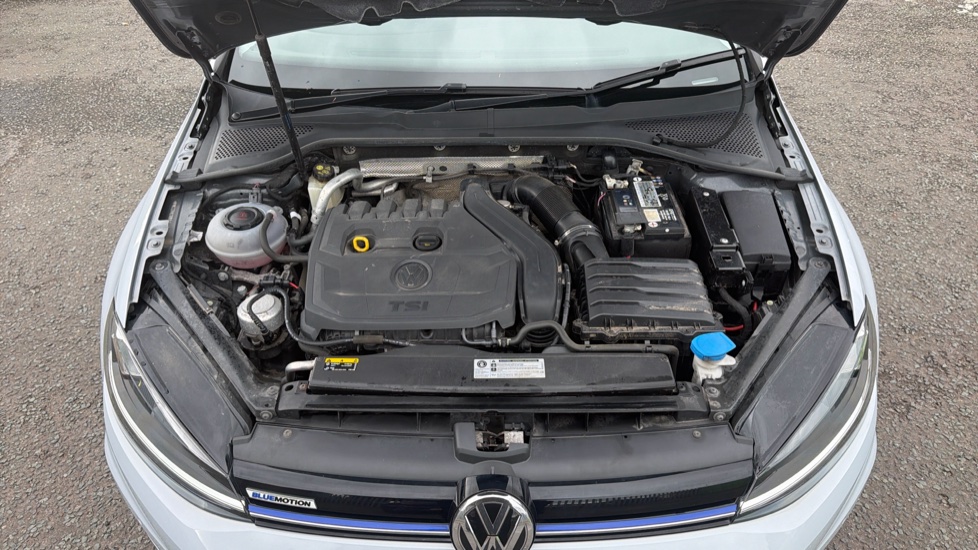 Volkswagen Golf 1.5 TSI EVO SE [Nav] 5dr Petrol Hatchback - Image 8