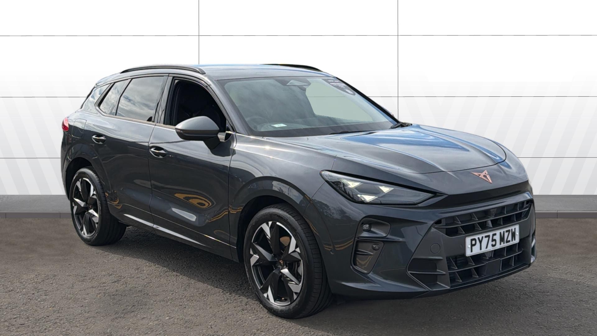 Cupra Terramar listing photo