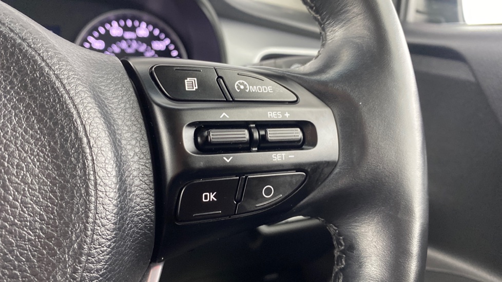 speed limiter and cruise control 