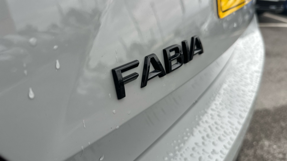 Skoda Fabia 1.0 TSI 110 Monte Carlo 5dr Petrol Hatchback - Image 31