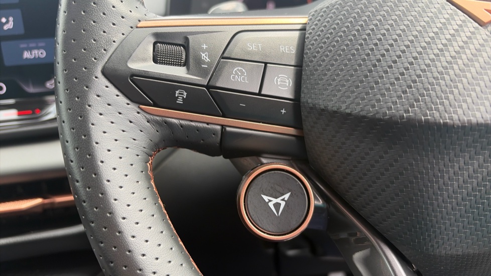 CUPRA Terramar 1.5 eTSI 150 V2 5dr DSG Petrol Hatchback - Image 31
