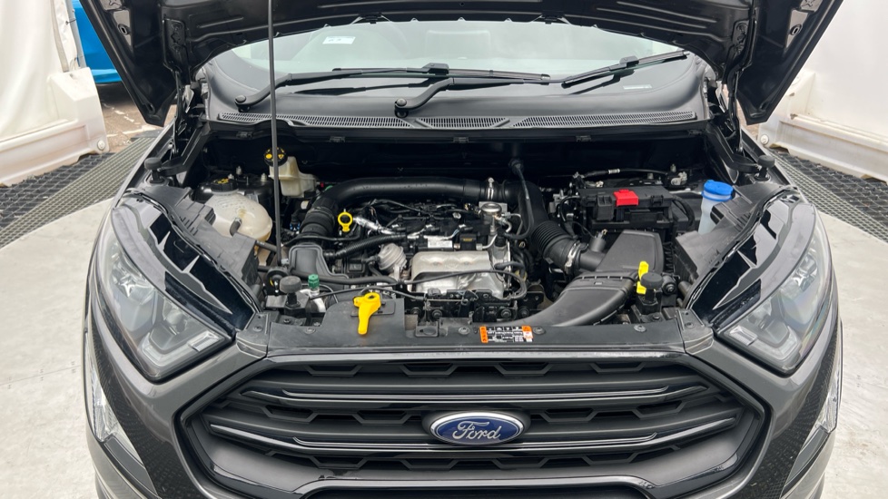 Ford EcoSport 1.0 EcoBoost 125 ST-Line 5dr Petrol Hatchback - Image 8