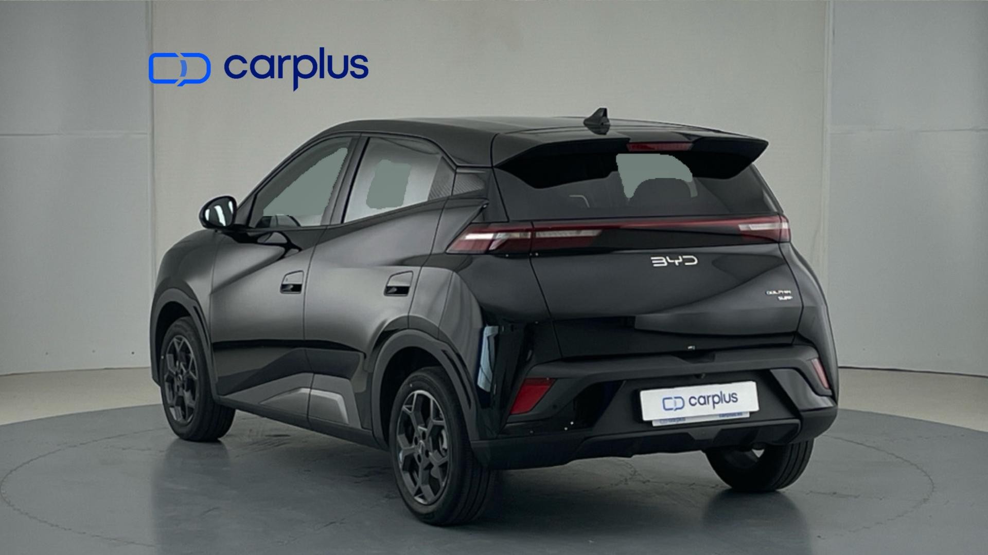 BYD Dolphin Surf - 5