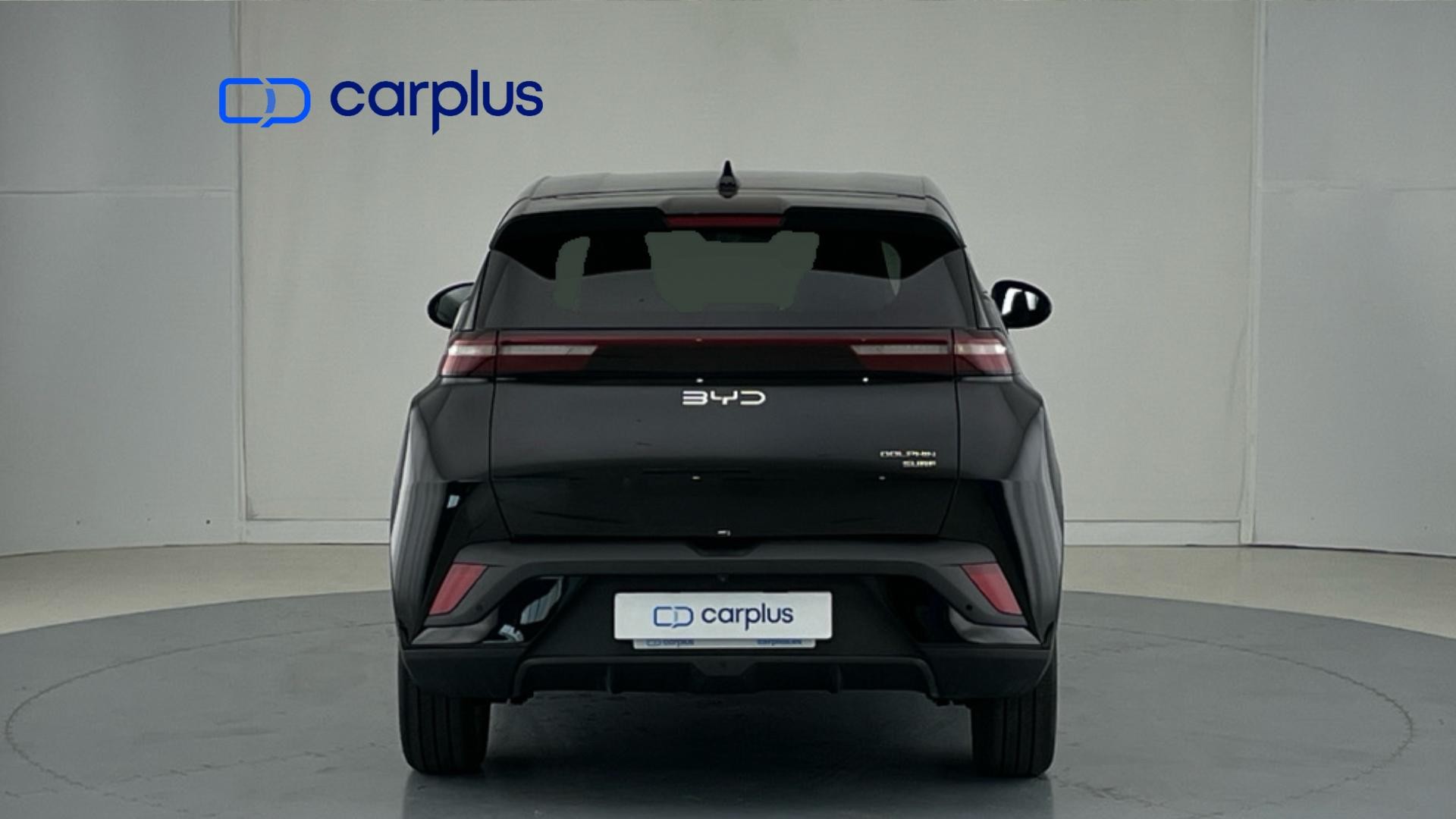 BYD Dolphin Surf - 6