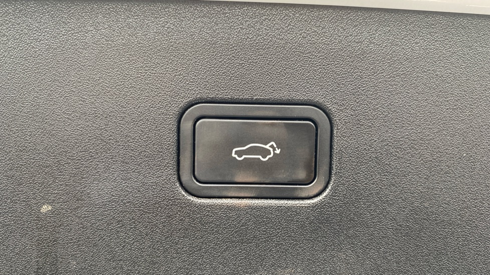 Volvo EX30 315kW Twin Motor Performance Plus 69kWh 5dr Auto Electric Estate - Image 39