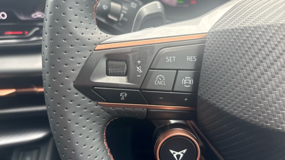 CUPRA Terramar 1.5 eTSI 150 V2 5dr DSG Petrol Hatchback - Image 17