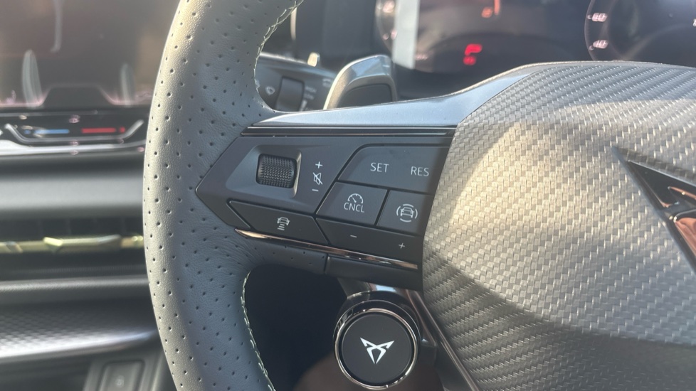 CUPRA Terramar 1.5 eTSI 150 Tribe Edition 5dr DSG Petrol Hatchback - Image 17