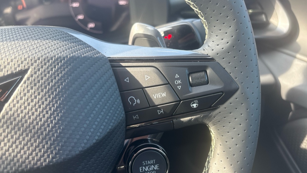 CUPRA Terramar 1.5 eTSI 150 Tribe Edition 5dr DSG Petrol Hatchback - Image 18