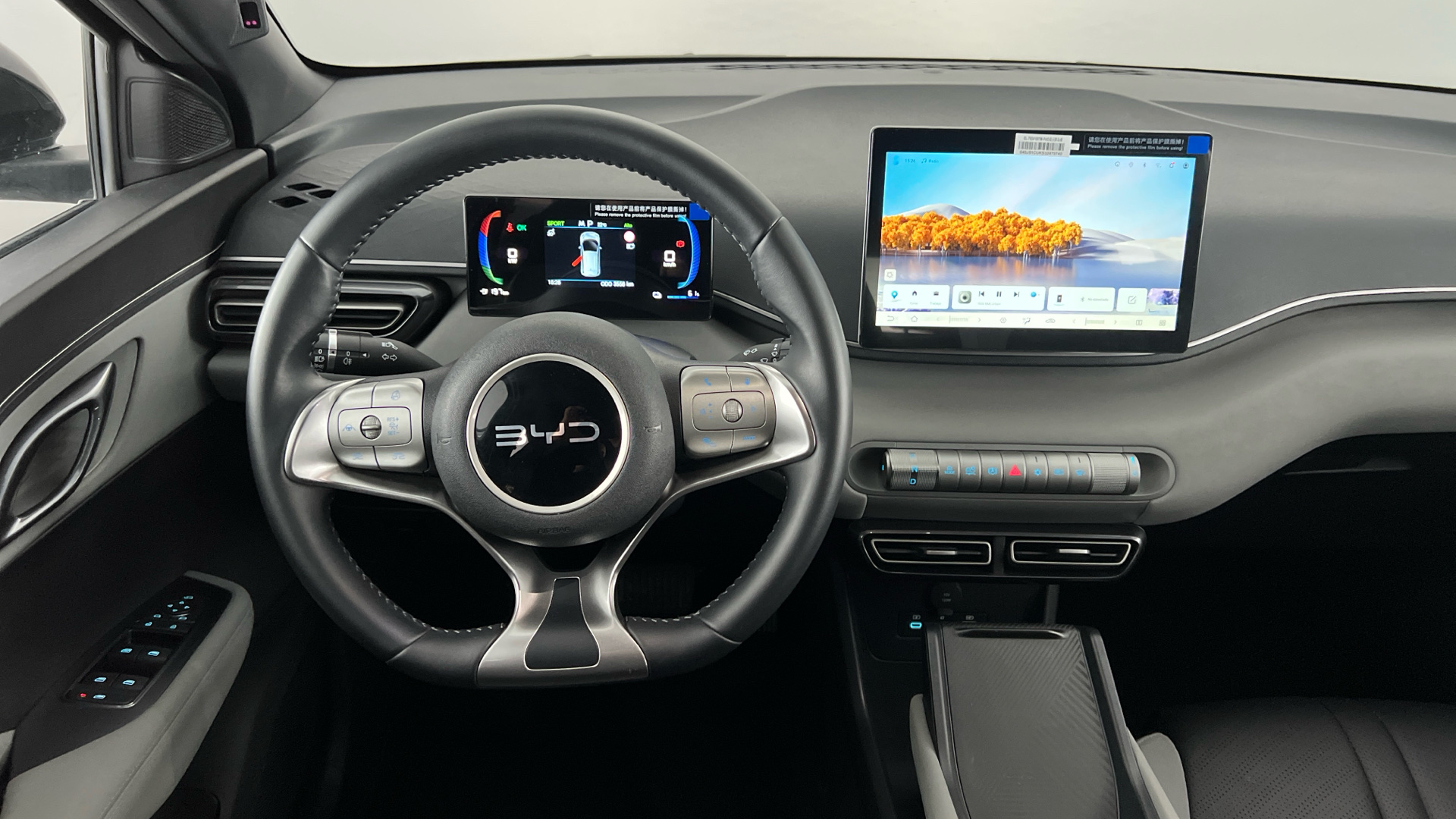 BYD Dolphin Surf - 10