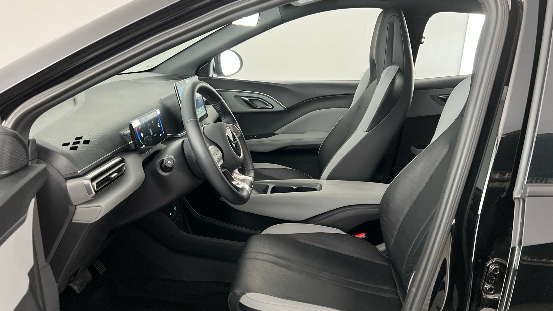 BYD Dolphin Surf - 11