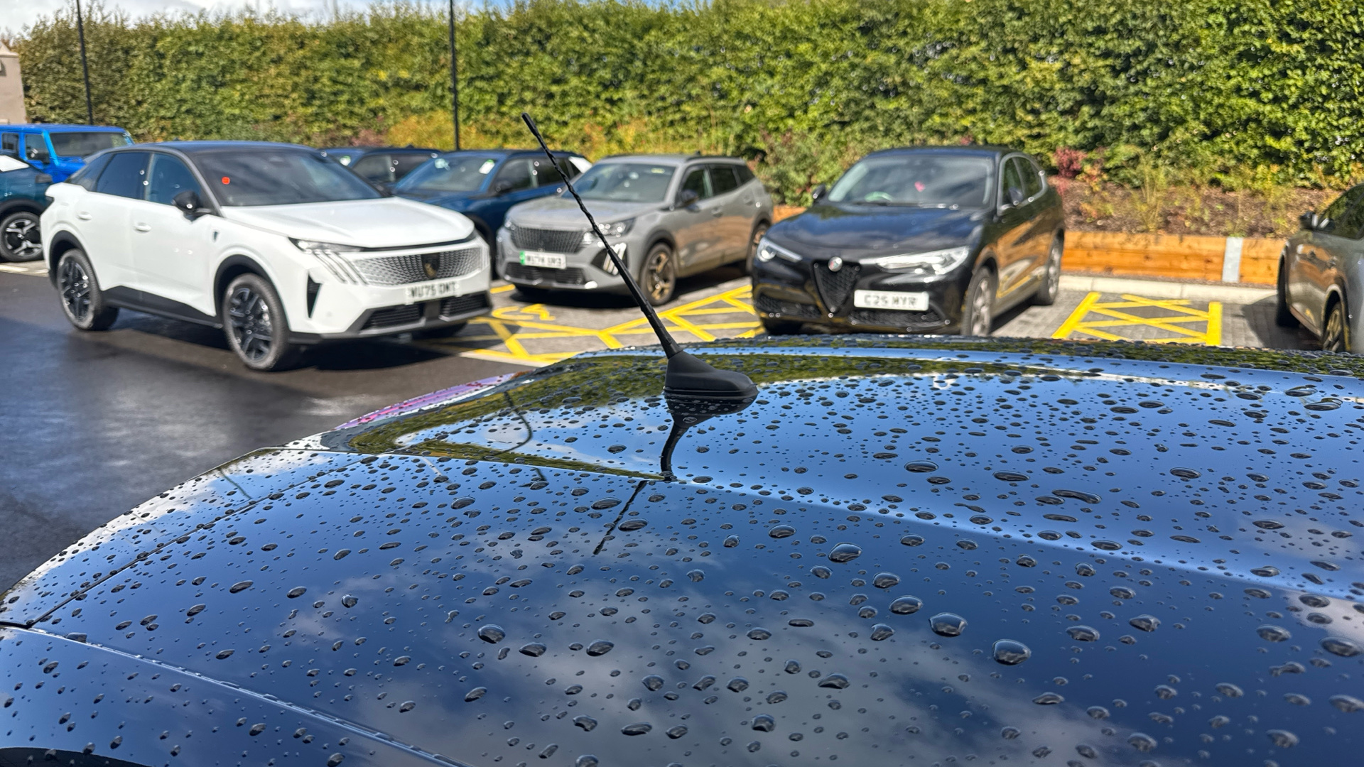 car image