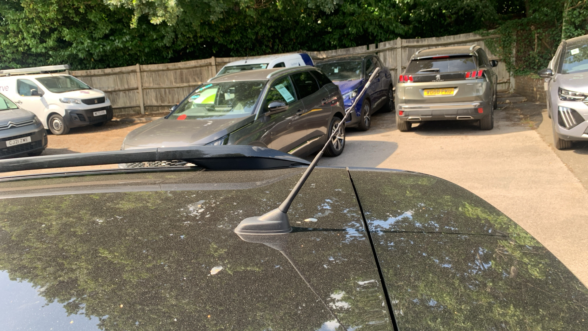 car image