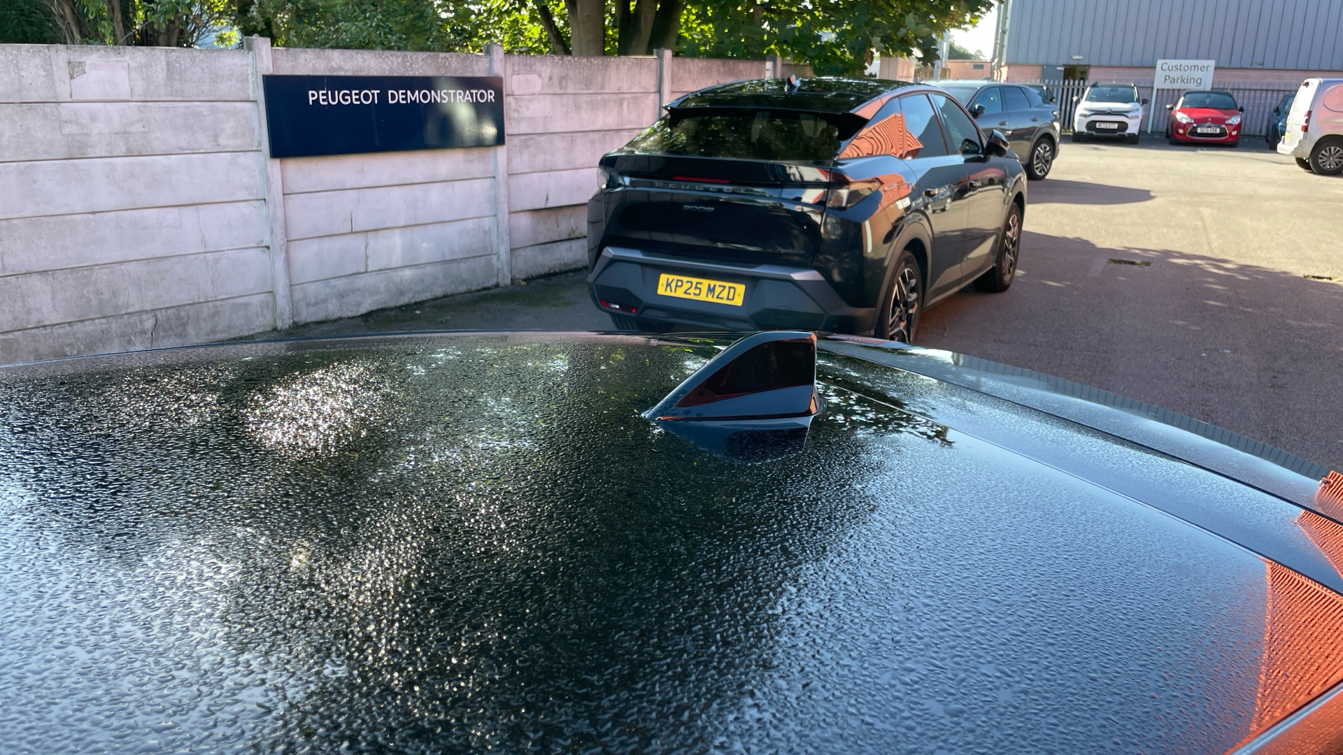 car image