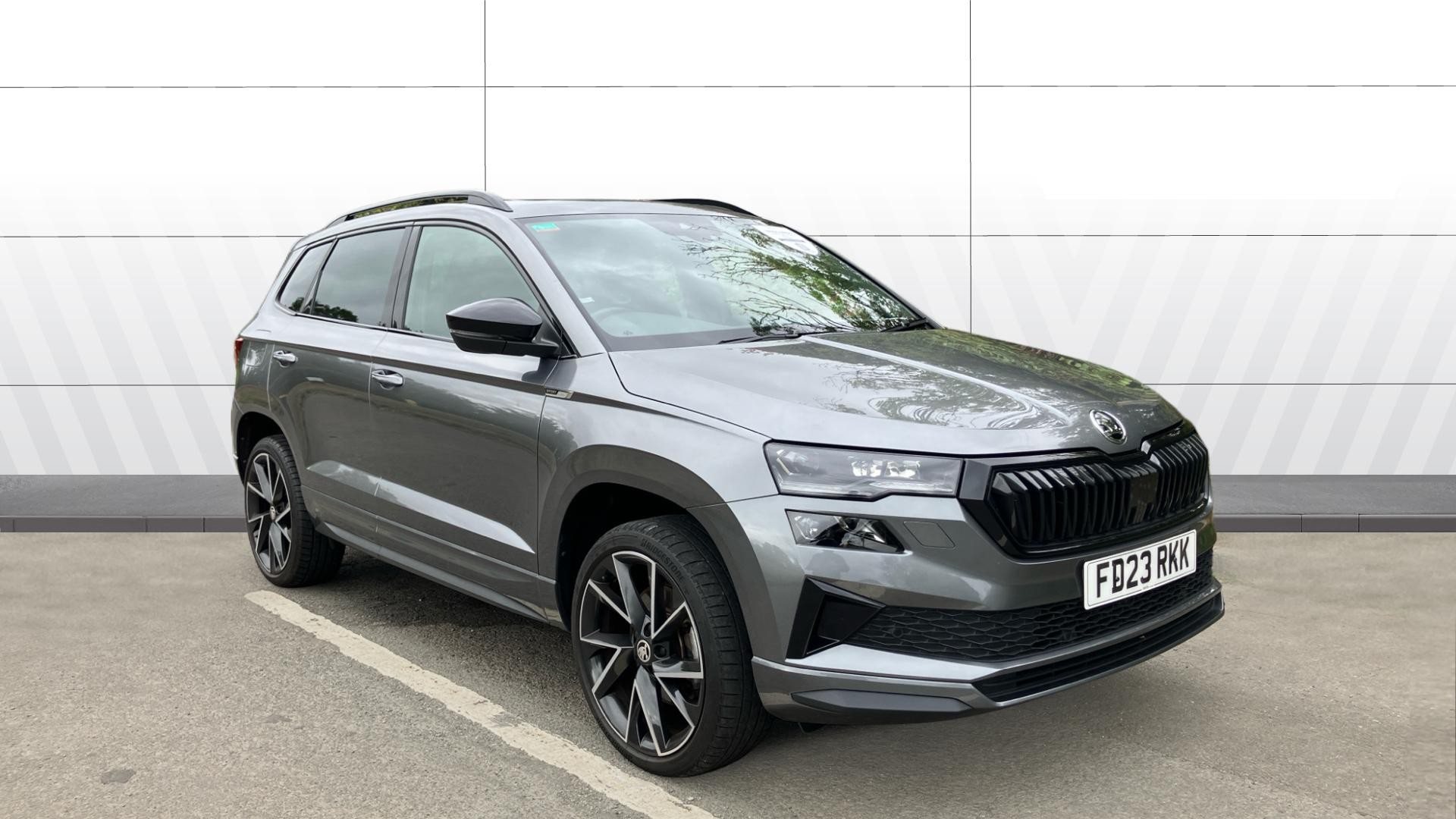 Skoda Karoq listing photo