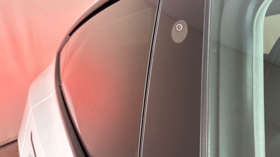 TESLA MODEL Y Scratches