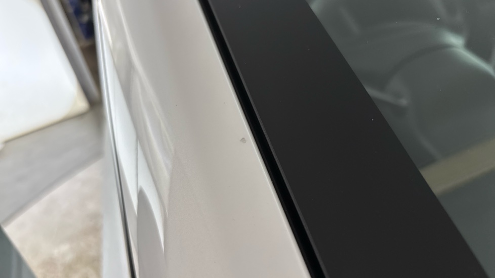 TESLA MODEL Y Chips