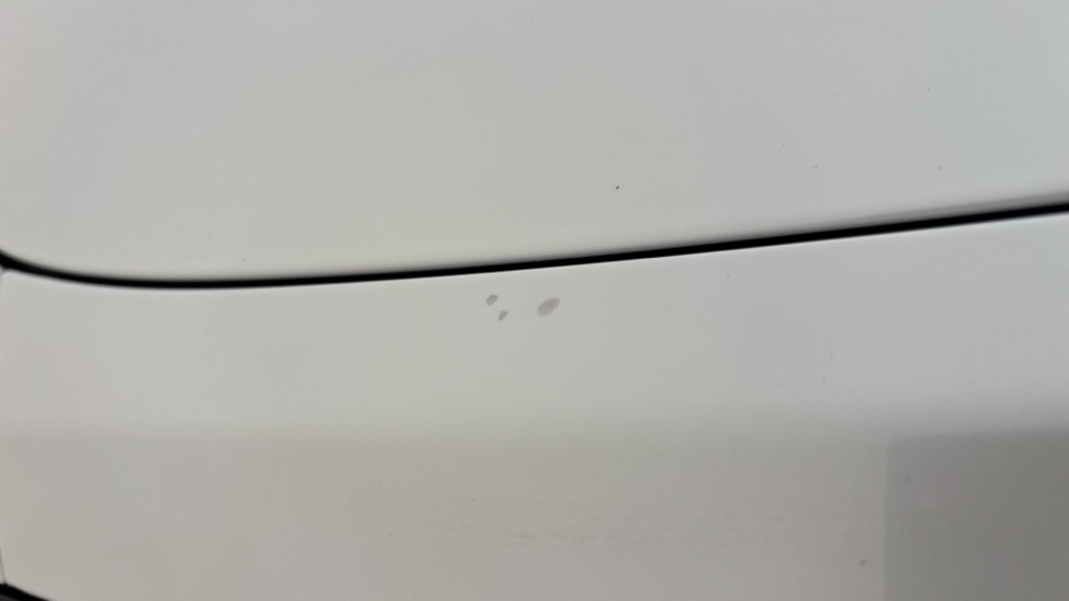 TESLA MODEL Y Chips