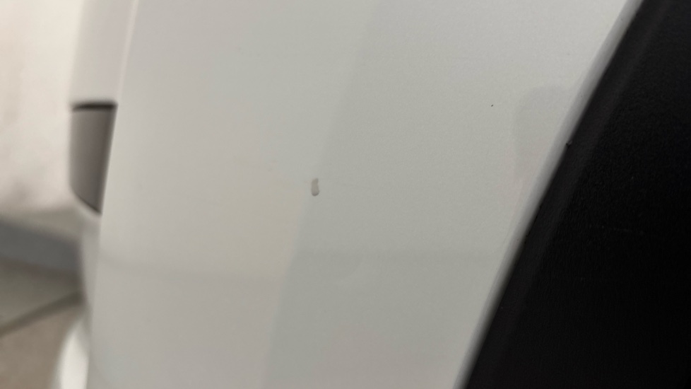 TESLA MODEL Y Multiple chips
