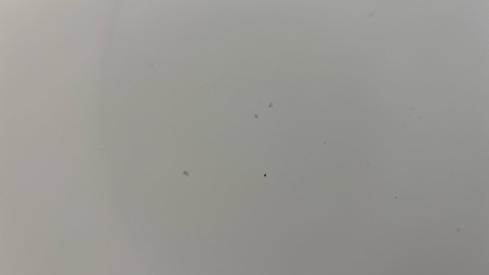 TESLA MODEL Y Multiple chips