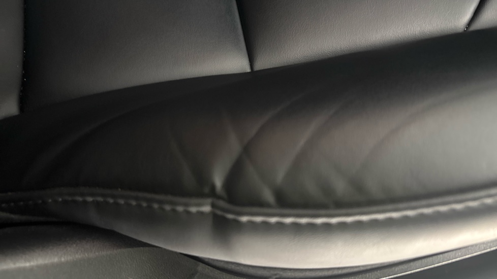 TESLA MODEL Y worn